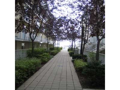 335 - 32 Stadium Rd, Toronto, M5V3P4 | Image 2