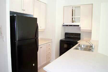 Gv216 - 8 Rean Dr, Toronto, M2K1H1 | Image 3