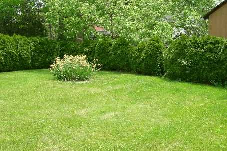 139 Kingsdale Ave, Toronto, M2N3W8 | Image 3