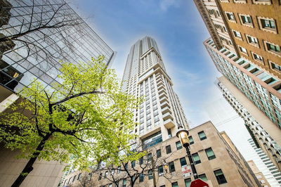 Unit 1504 — 88 Scott St, Toronto - Church-Yonge Corridor image-0-2