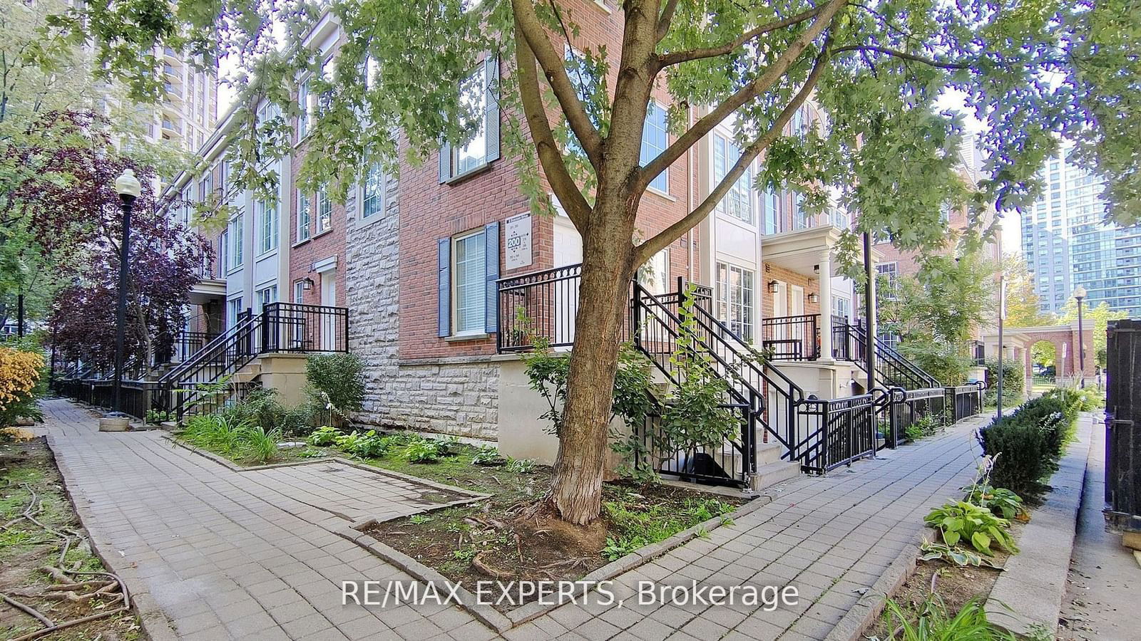 Townhouse for lease at 272-3 Everson Drive, Toronto, Willowdale East, M2N 7C2 - MLS: C11944065