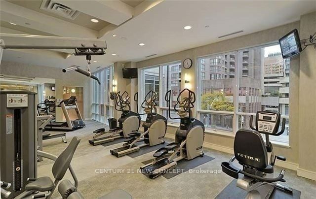 Condo for lease at 203-763 Bay Street, Toronto, Bay Street Corridor, M5G 2R3 - MLS: C11950590