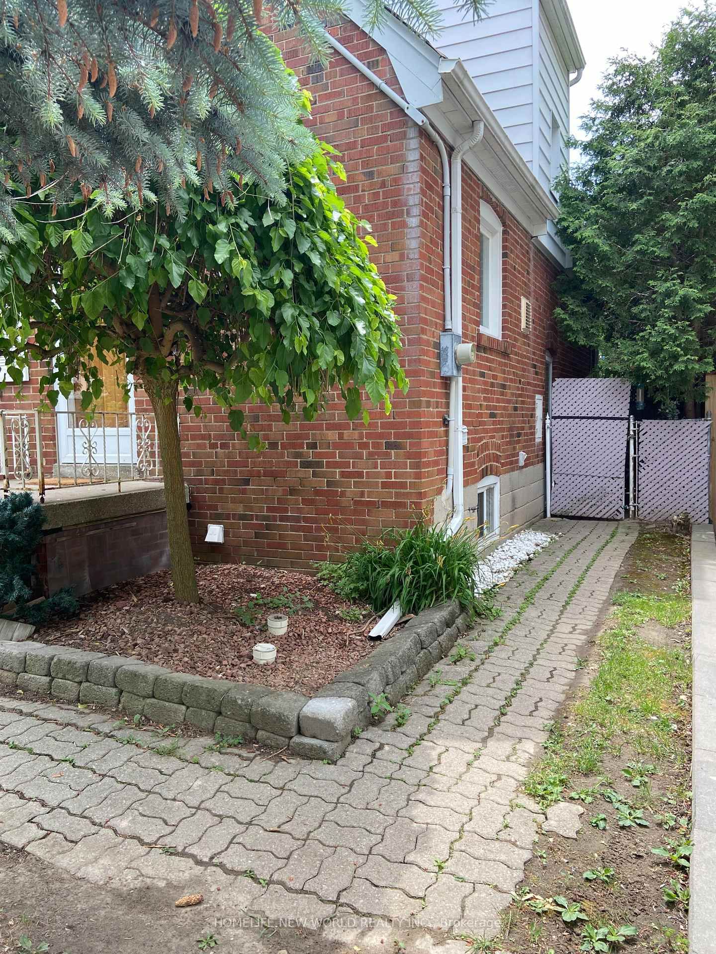 Detached House for lease at Bsmt-99 Florence Avenue, Toronto, Lansing-Westgate, M2N 1G2 - MLS: C11988522