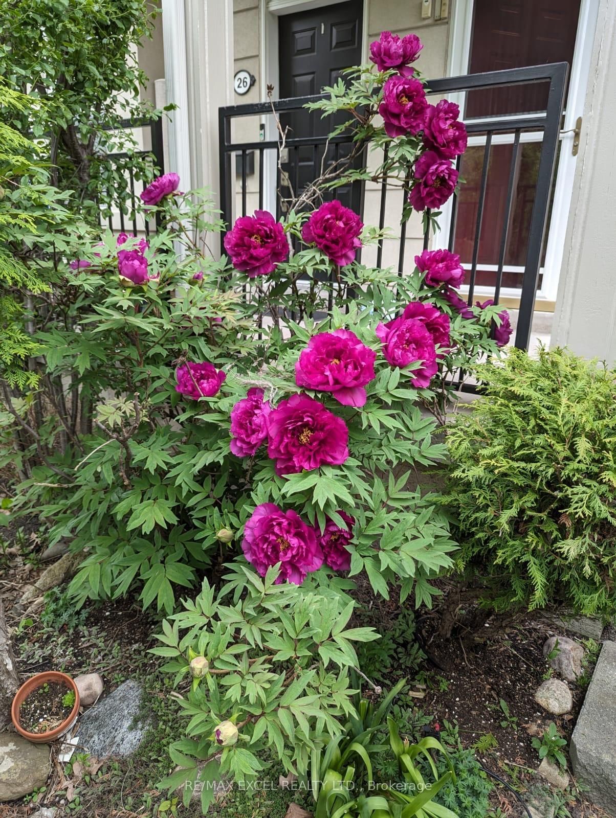 Townhouse sold at 28 Bond Avenue, Toronto, Banbury-Don Mills, M3B 3R8 - MLS: C12082665