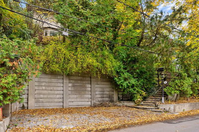 56 Roxborough Dr, Toronto - Rosedale-Moore Park image-0-3