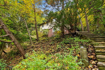56 Roxborough Dr, Toronto - Rosedale-Moore Park image-0-4