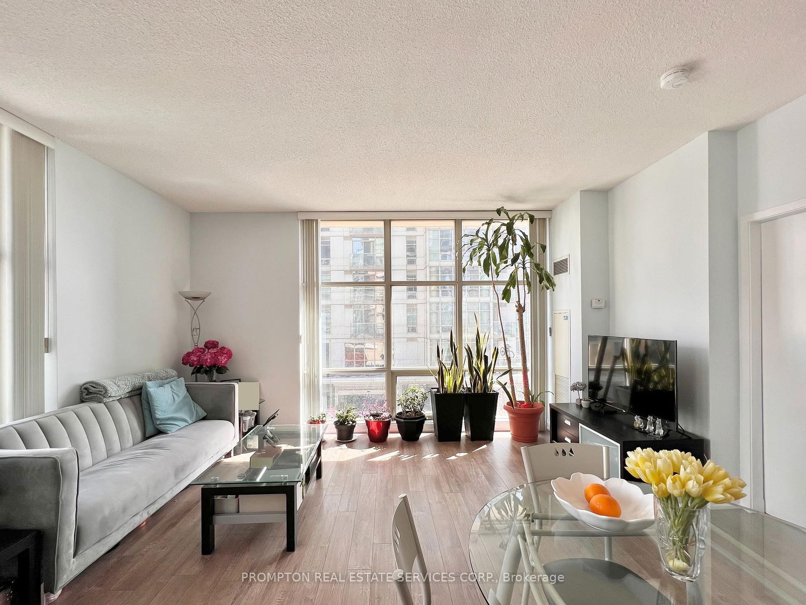 Condo for lease at 203-9 Spadina Avenue, Toronto, Waterfront Communities C1, M5V 3V5 - MLS: C12111755