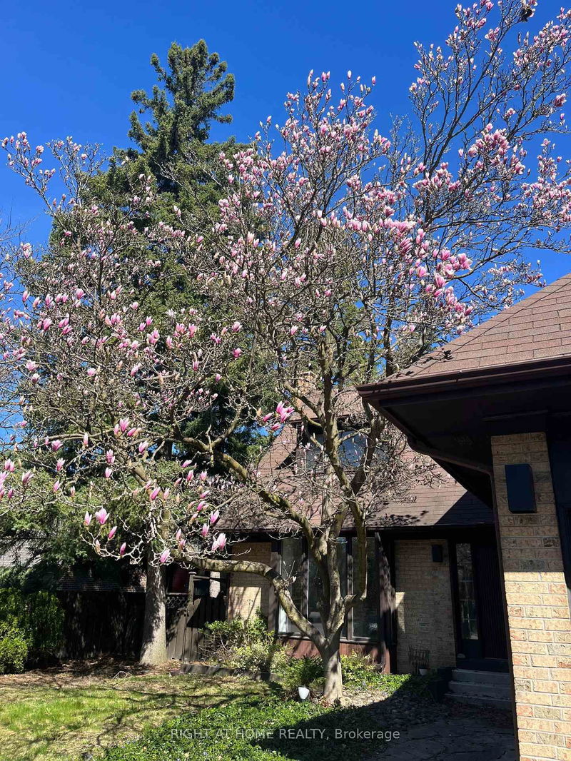 home for lease on 16 Fernside Court
