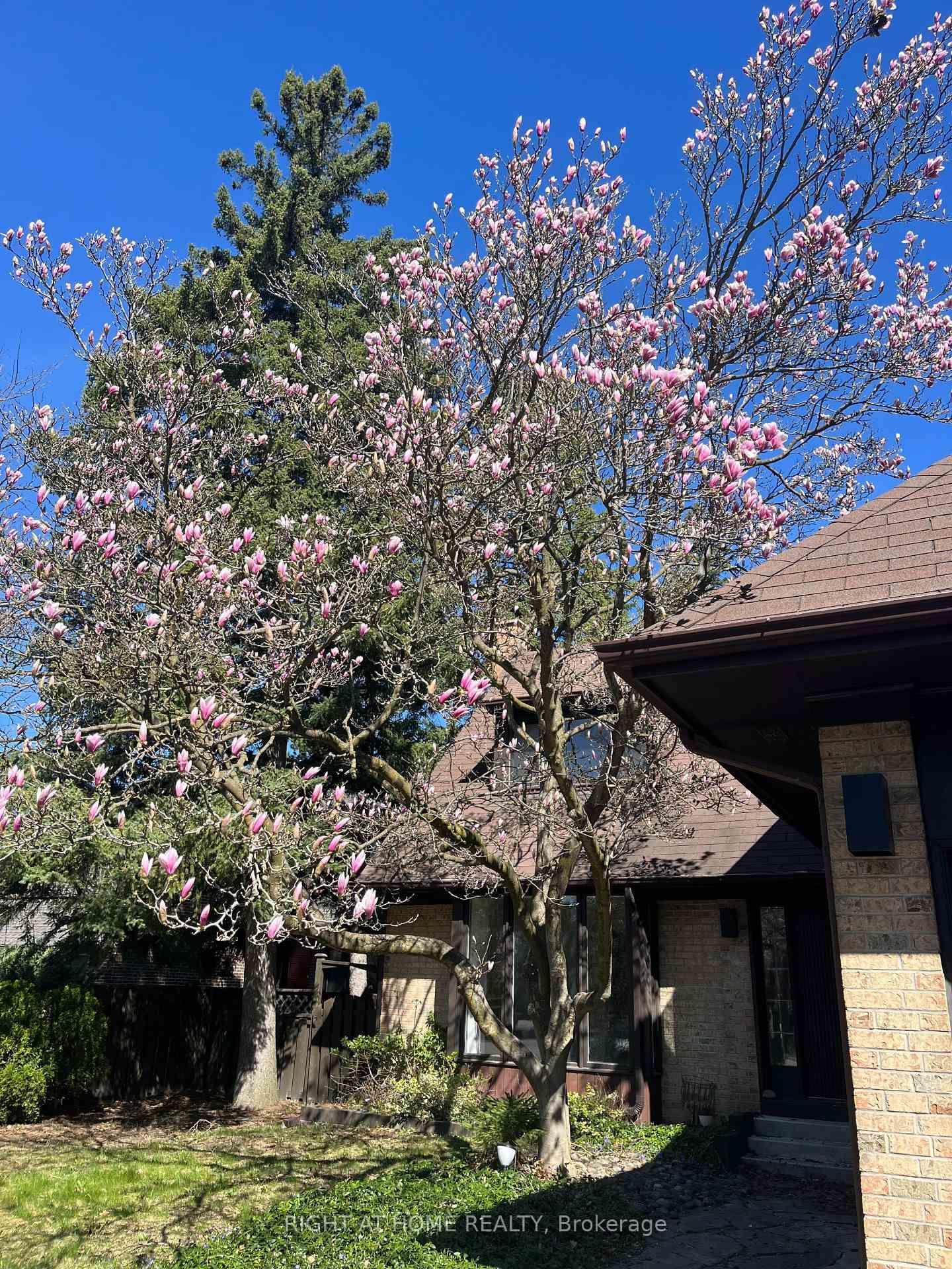 Detached House for lease at 16 Fernside Court, Toronto, Willowdale East, M2N 6A1 - MLS: C12111963