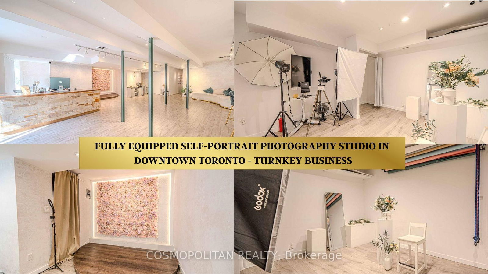 Sale Of Business for sale at Lower-334 Dundas Street, Toronto, Kensington-Chinatown, M5T 1G5 - MLS: C12141337