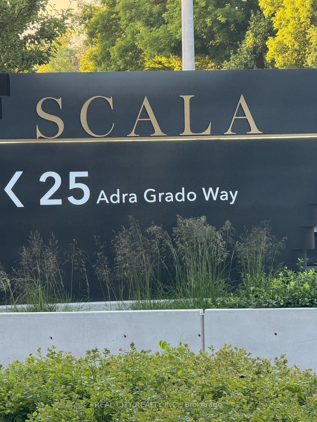 Condo for sale at 243-25 Adra Grado Way, Toronto, Bayview Village, M2J 0H6 - MLS: C12156863