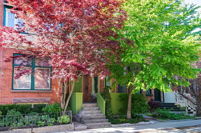 48 Salisbury Ave, Toronto - Cabbagetown-South St. James Town image-0-1