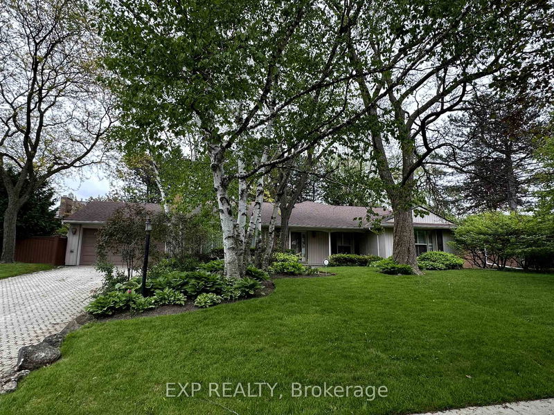 19 Sandfield Rd, Toronto - Banbury-Don Mills image-0-0