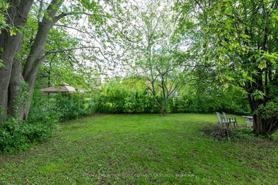 484 Drewry Ave, Toronto - Newtonbrook West image-0-1