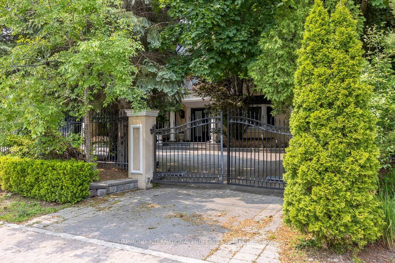 88 Old Colony Rd, Toronto, M2L 2K2 | Image 3