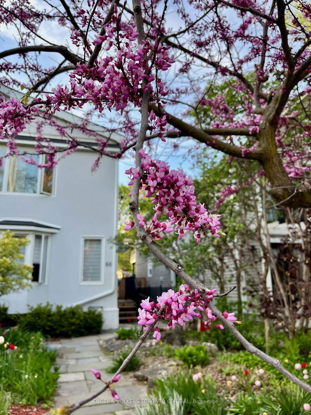 66 Alcina Avenue