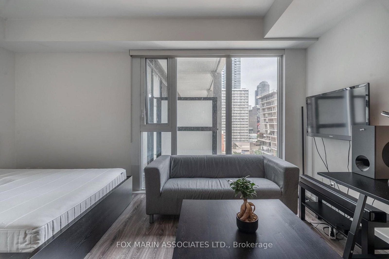 20 Edward Street, Unit 921 - Photo 5