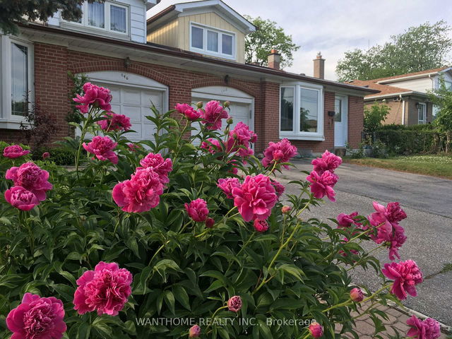 148 Old Sheppard Avenue