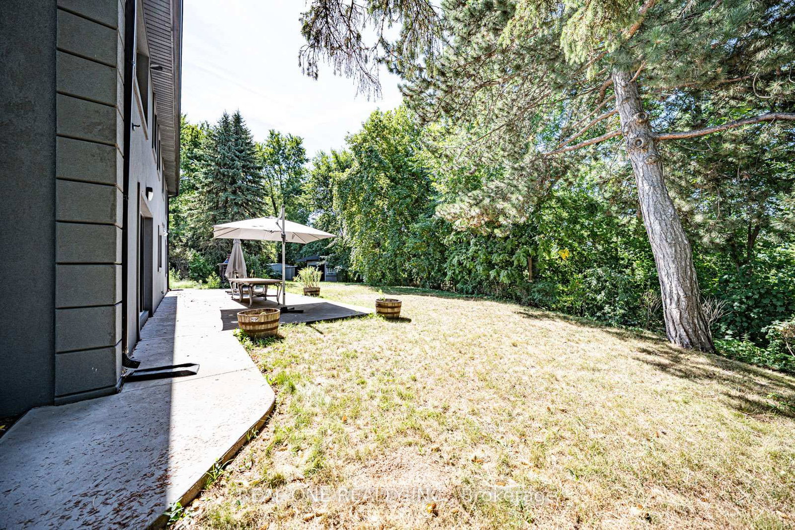 Listing Image 46