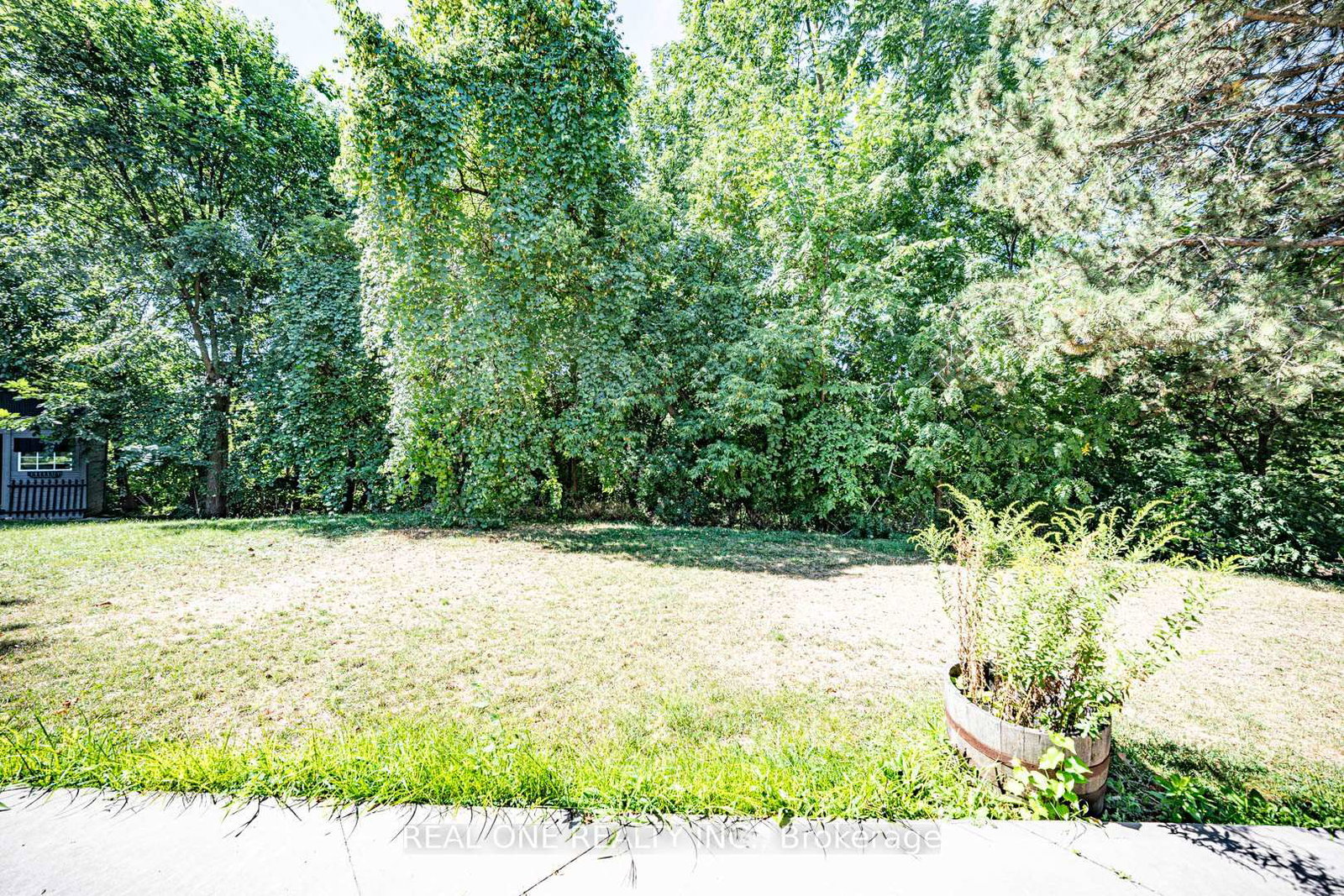 Listing Image 49