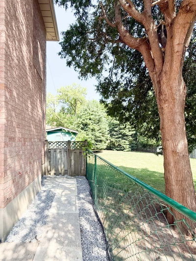 Unit Lower — 188 Olive Avenue — photo 6