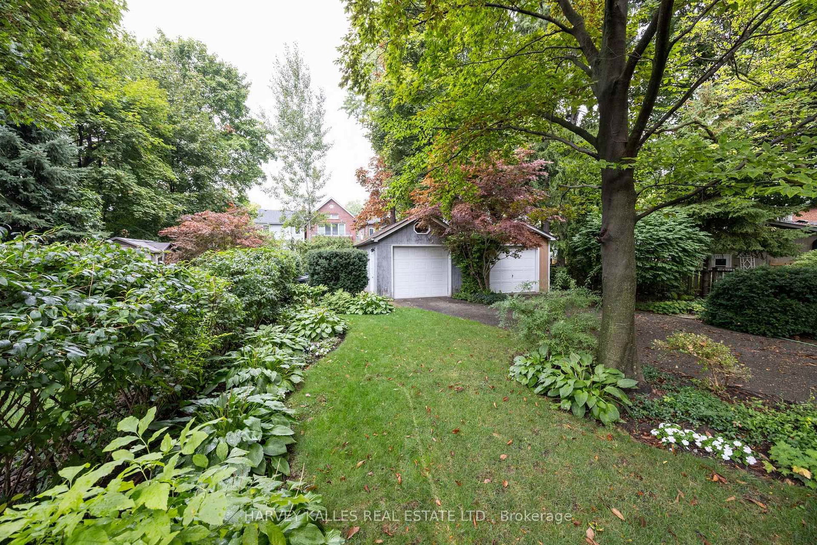 Listing Image 49