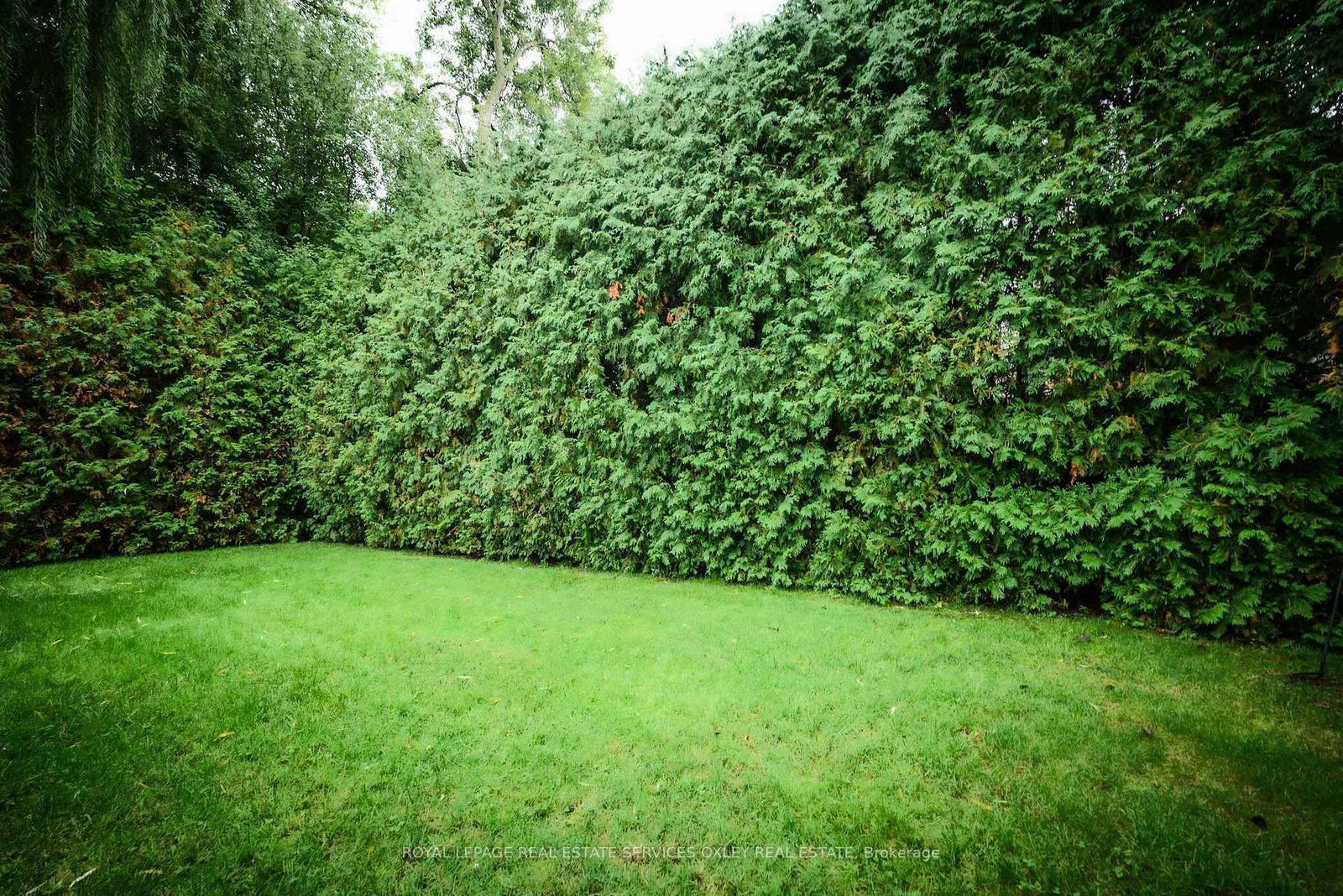 Listing Image 43