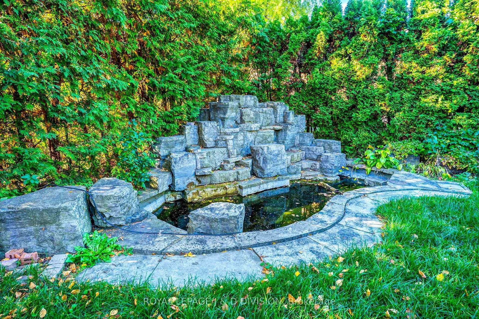 Listing Image 18
