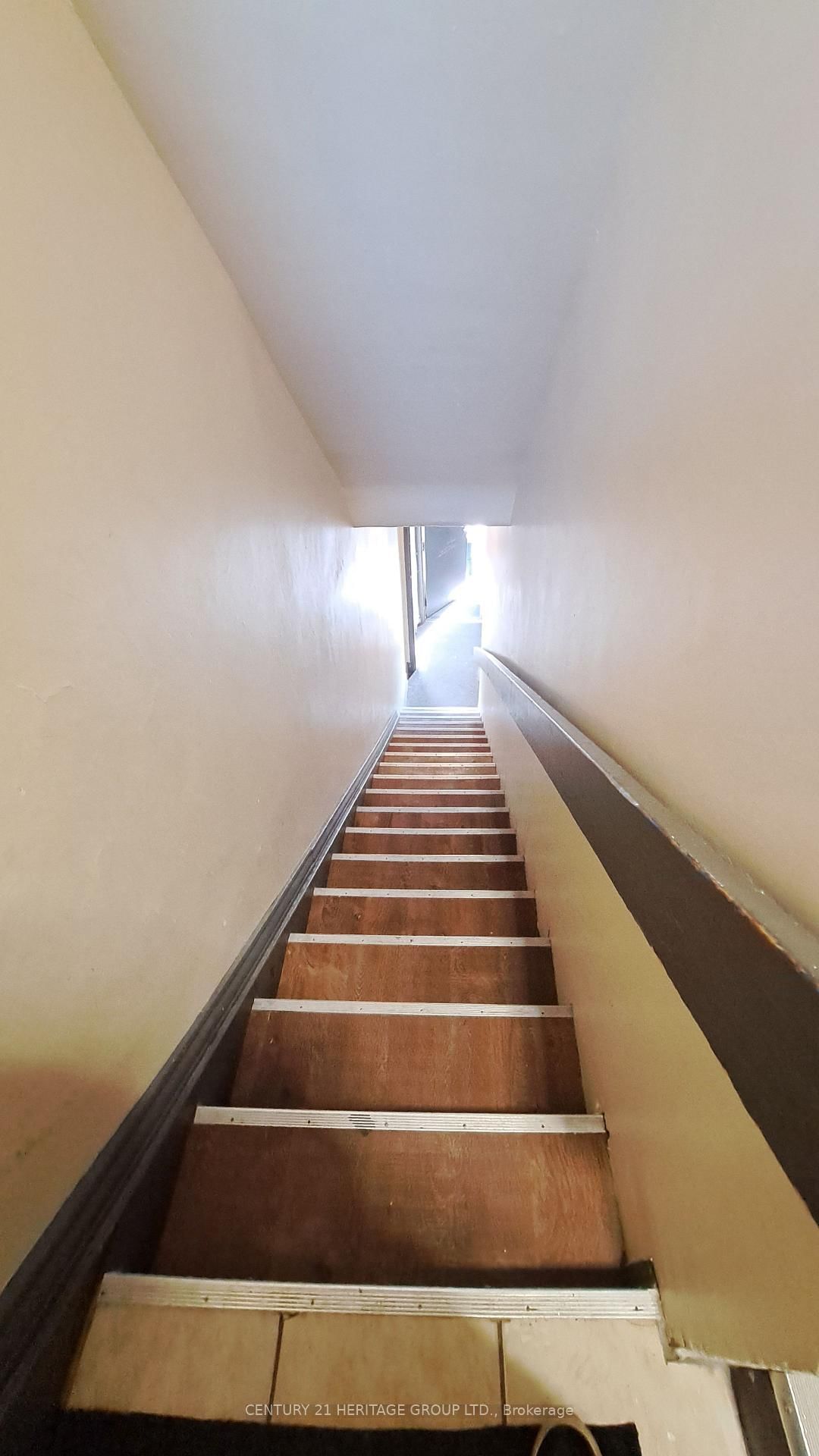 Image 15