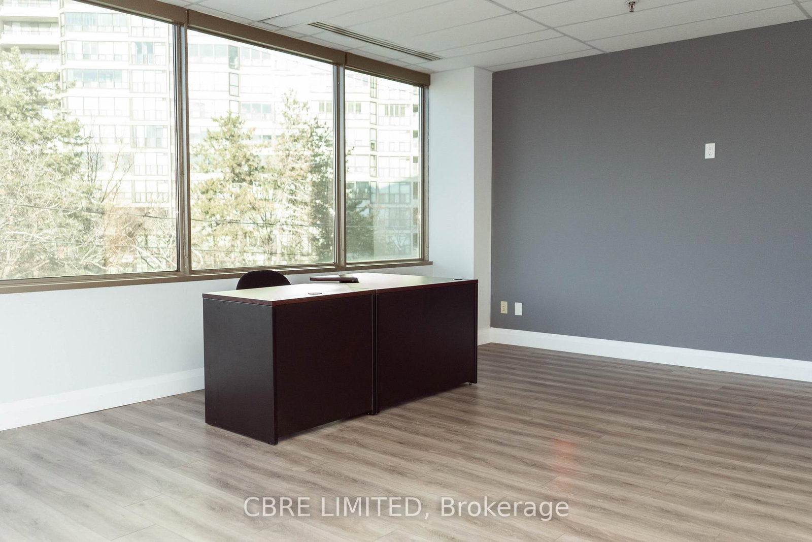 40 Sheppard Avenue W, Unit Unit 204 - Photo 10