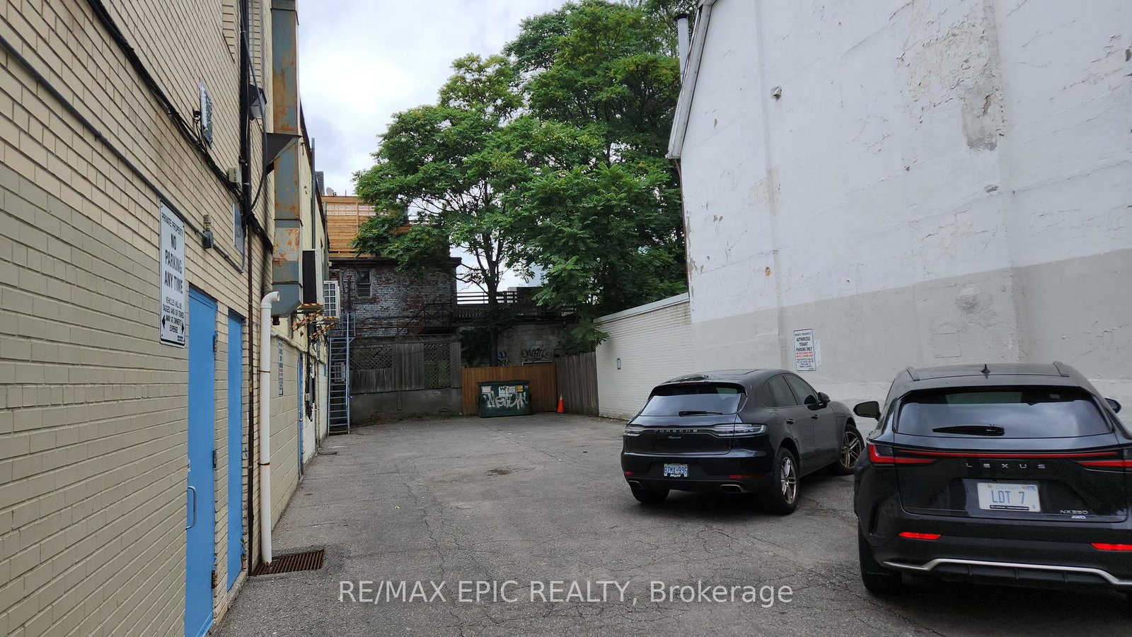 329 St George Street, Unit 1 - Photo 8