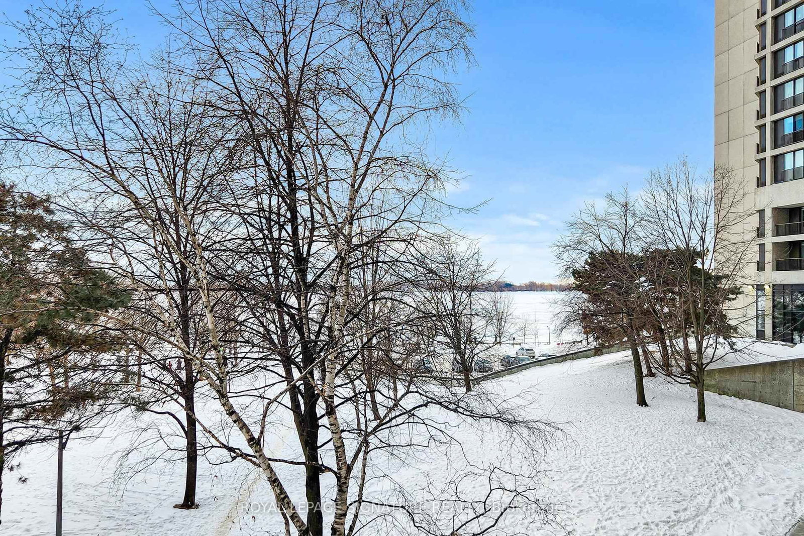 33 Harbour Square, Unit 410/204 - Photo 37