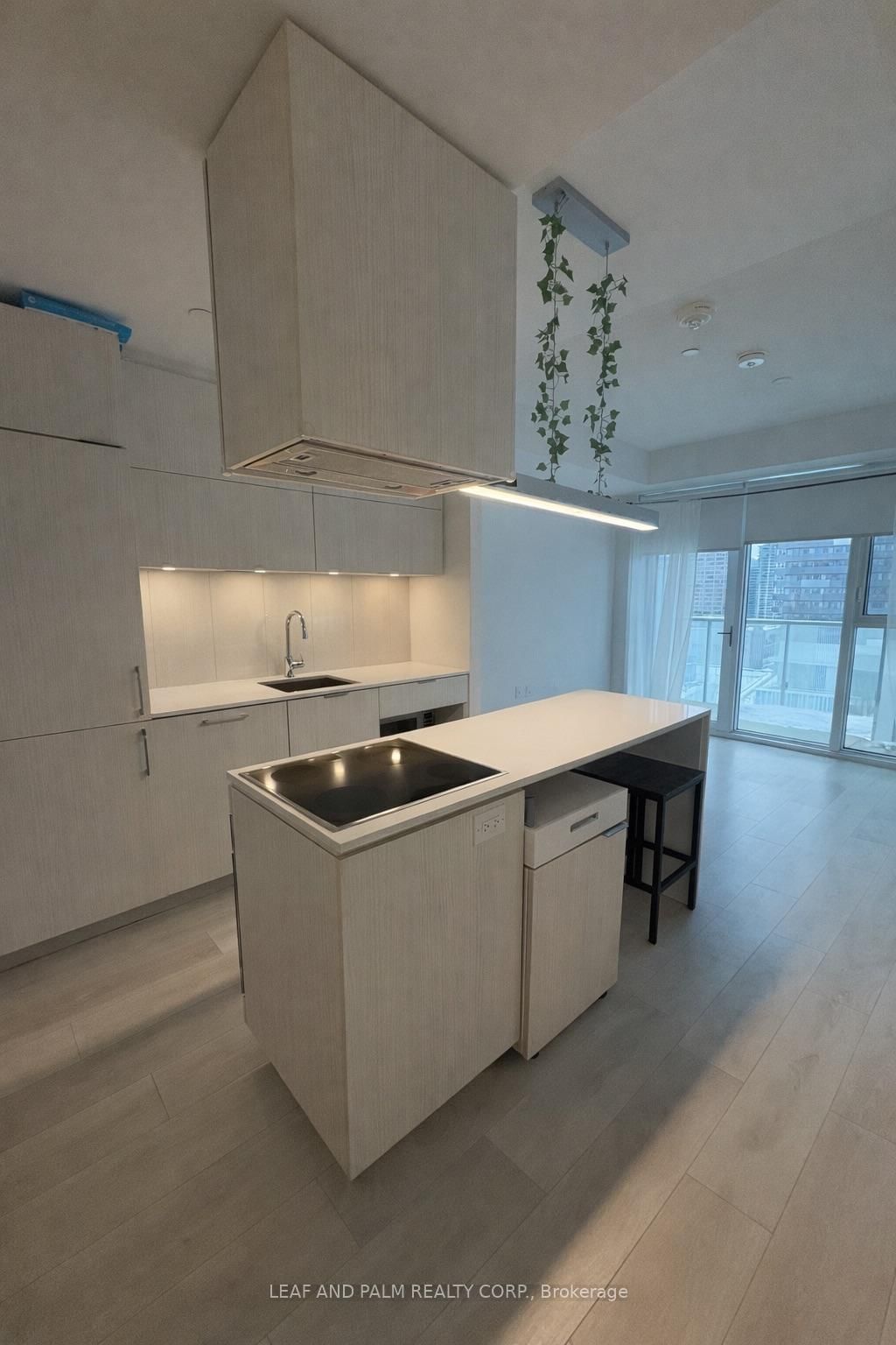 15 Lower Jarvis Street, Unit 1309