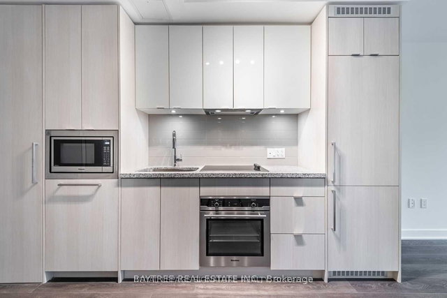 317 - 115 Blue Jays Way