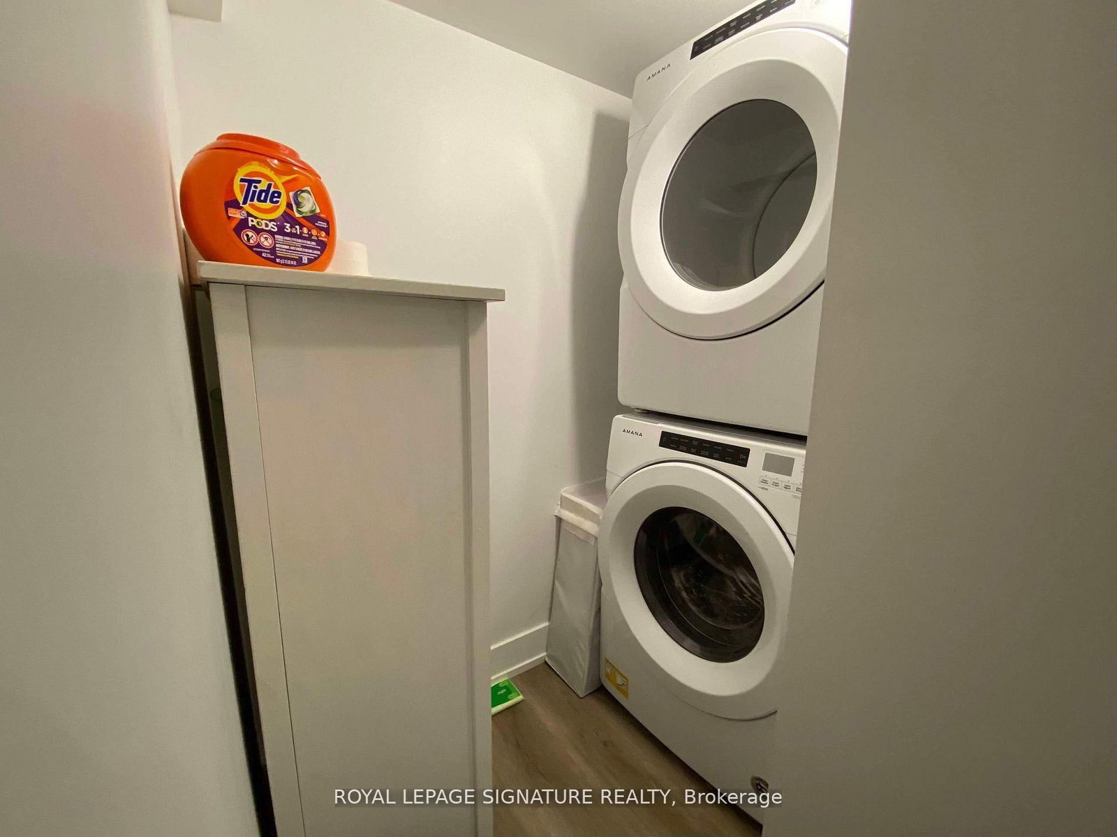 Semi-Detached House for lease at Lower-17 Claremont Street, Toronto, Ontario, M6J 2M3 - Trinity-Bellwoods - MLS: C12823742