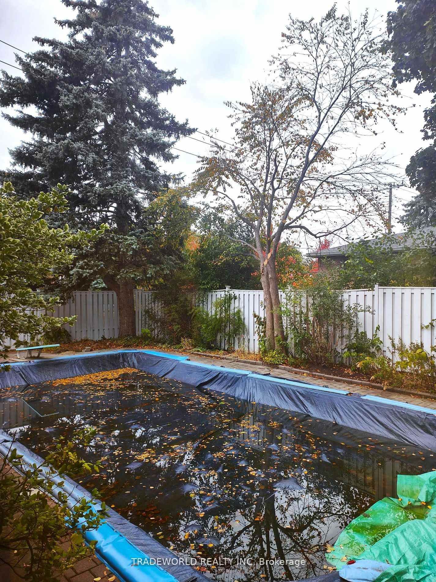 Detached House for lease at (Whole House)-85 Shaughnessy Boulevard, Toronto, Ontario, M2J 1J5 - Don Valley Village - MLS: C12829764