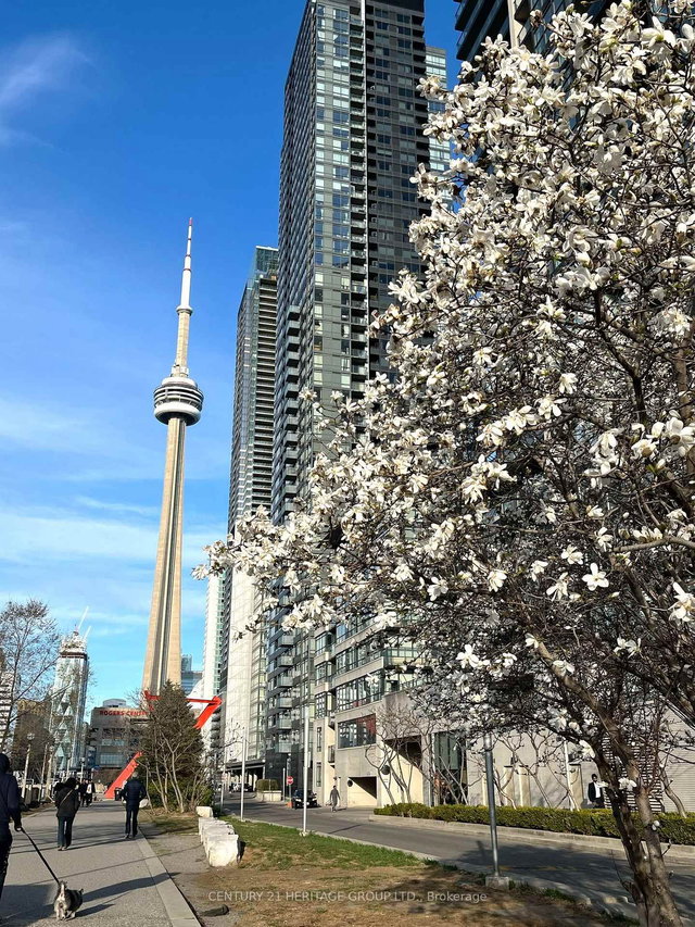 2009 - 15 Iceboat Terrace