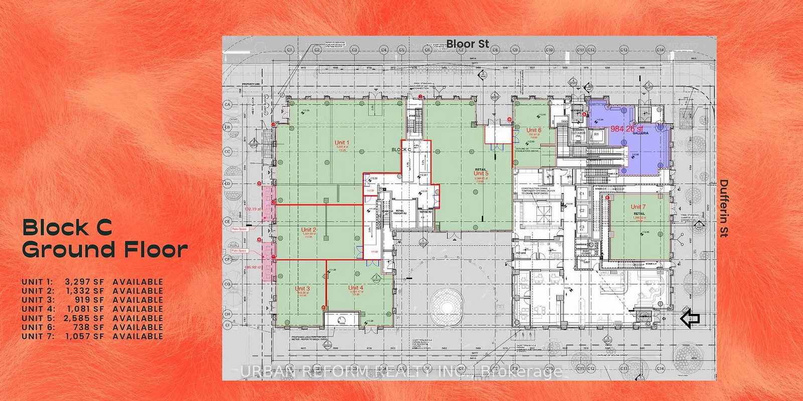 980 Dufferin Street, Unit Unit 1 - Photo 5