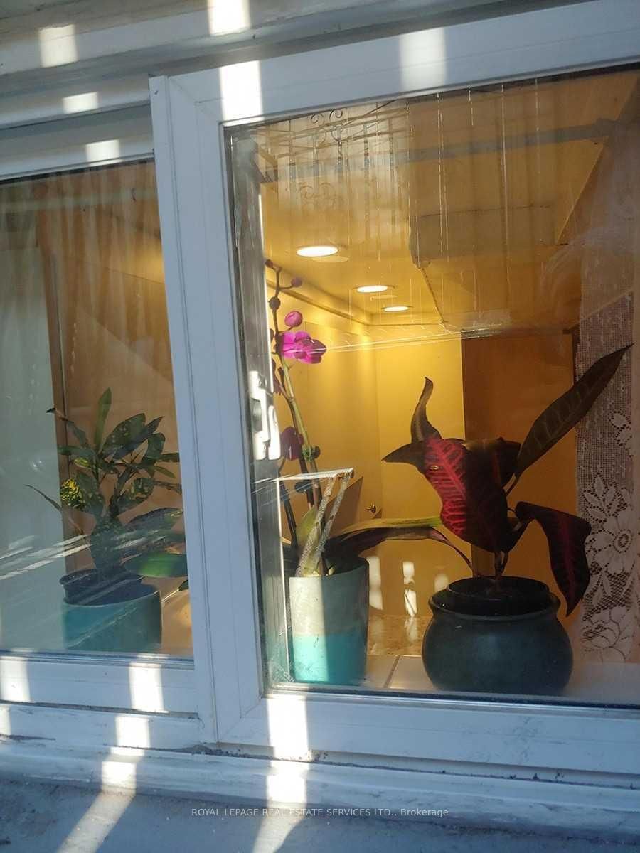 Semi-Detached House for lease at Lower Level-1239 College Street, Toronto, Ontario, M6H 1C3 - Little Portugal - MLS: C12854552