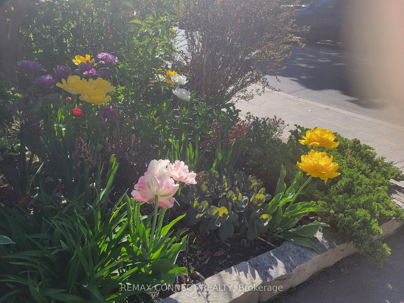 Townhouse sold at 122 Robinson Street, Toronto, Ontario, M6J 1M2 - Trinity-Bellwoods - MLS: C12866606