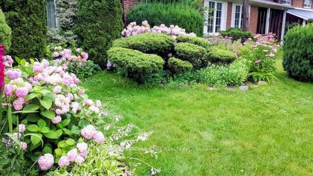 39 Deerford Rd, Toronto, M2J 3H9 | Image 3