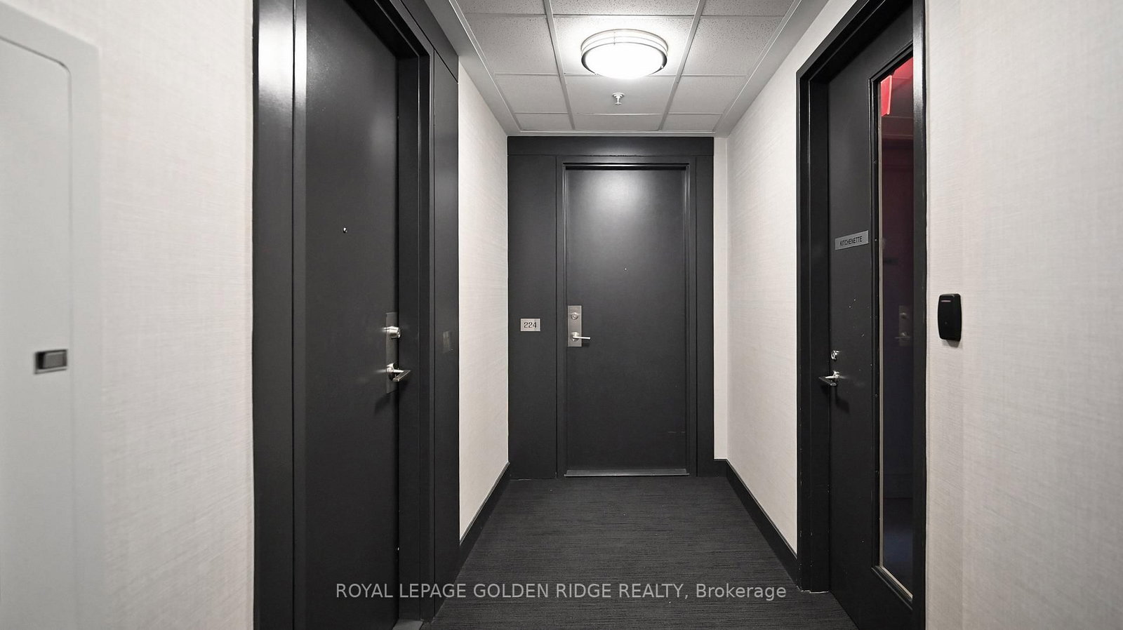 Condo for sale at 224-377 Madison Avenue, Toronto, Ontario, M4V 3E1 - Casa Loma - MLS: C12902816