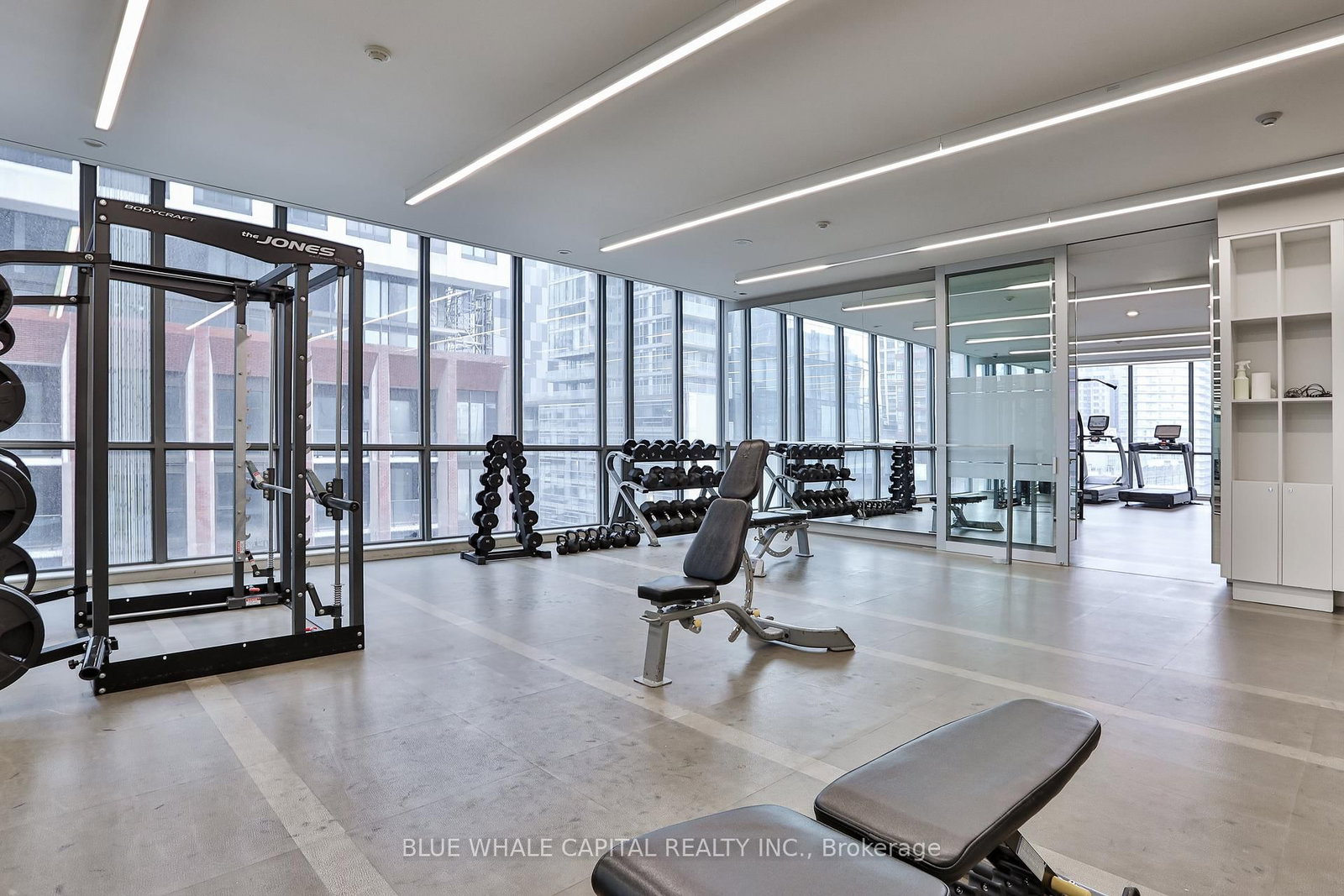 Condo for sale at 802-8 Charlotte Street, Toronto, Ontario, M5V 0K4 - Waterfront Communities C1 - MLS: C12907052