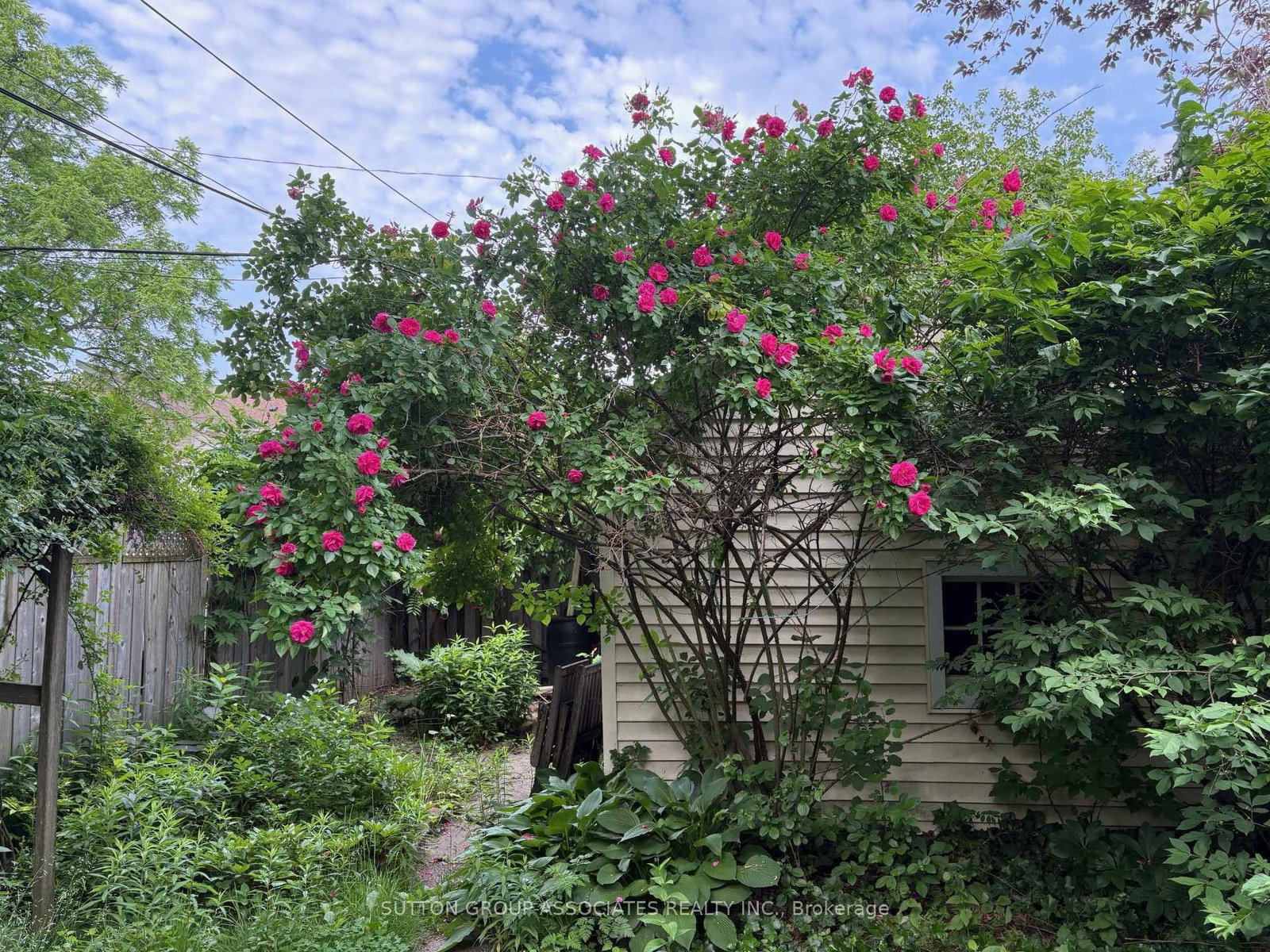 Listing Image 46