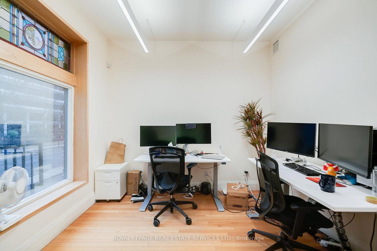 54 1/2 ST PATRICK Street - Photo 8