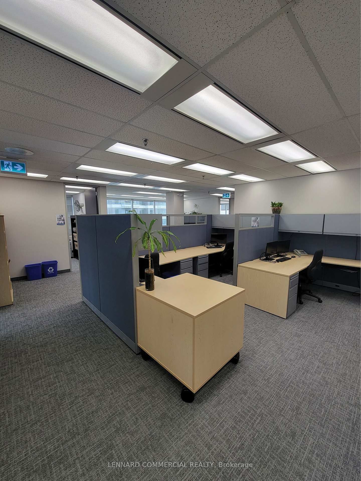 40 Holly Street, Unit 900 - Photo 4