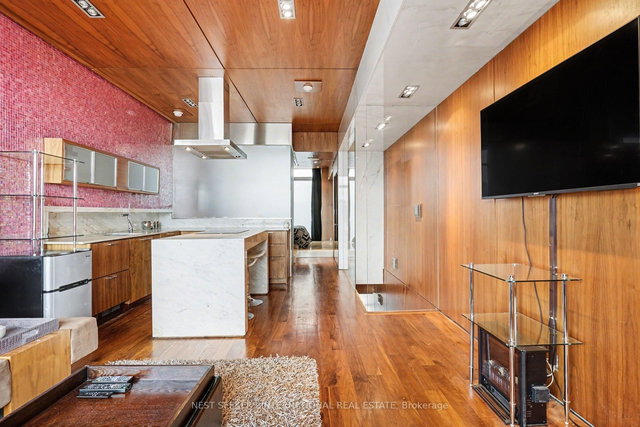 519 - 388 Richmond Street W