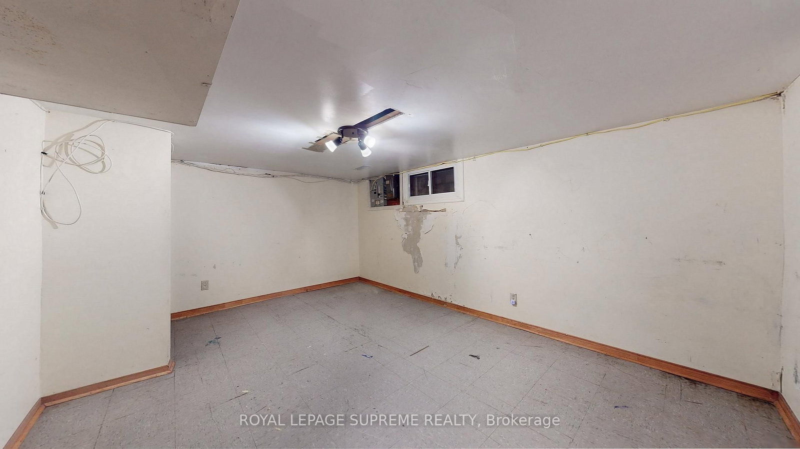 31 Shirley Street - Photo 29