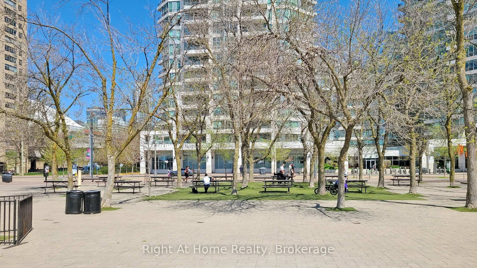 228 Queens Quay W, Unit 209 - Photo 42