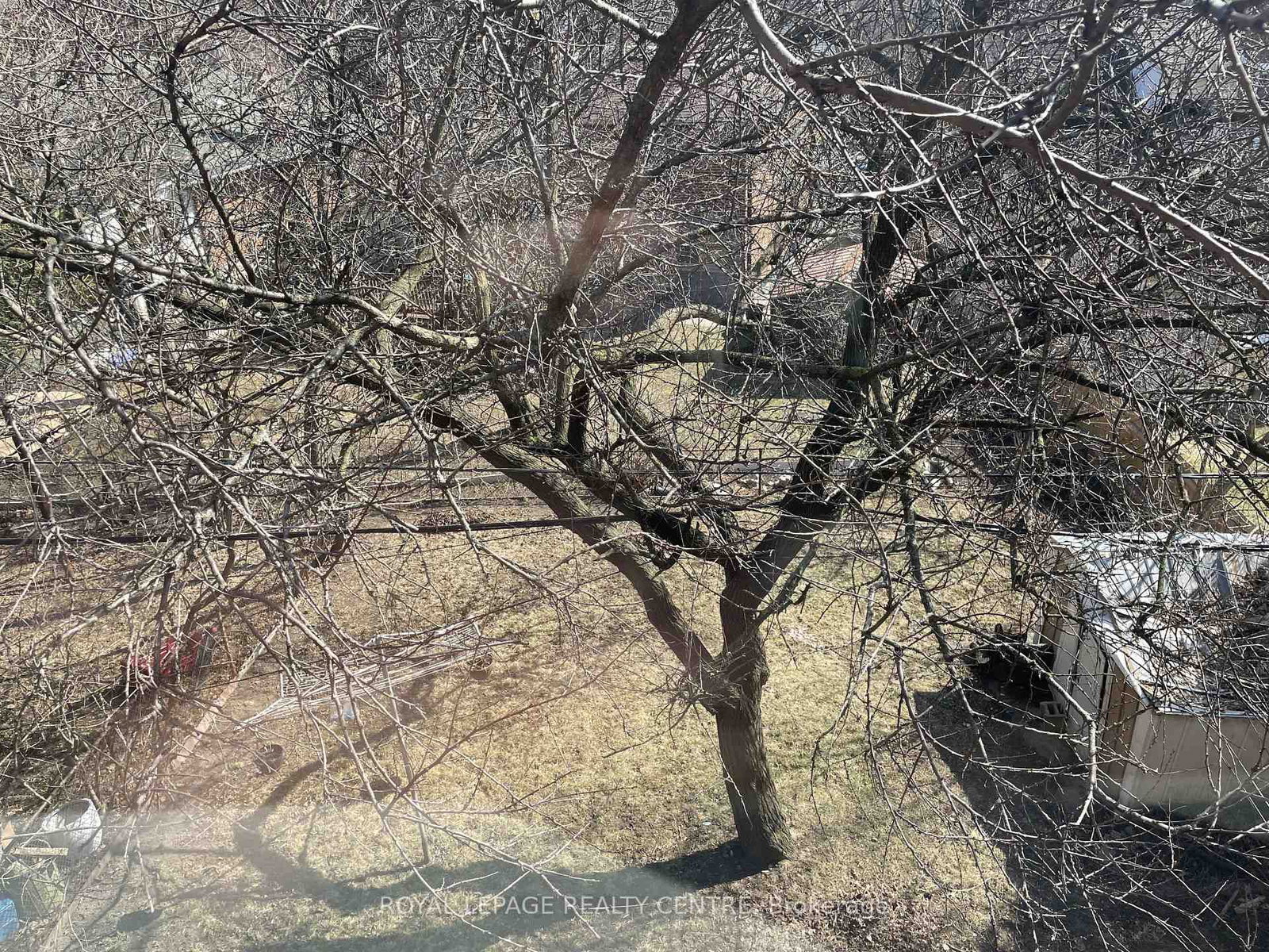 339 Sheppard Avenue E, Unit Unit 3 - Photo 43